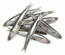 Anchovies